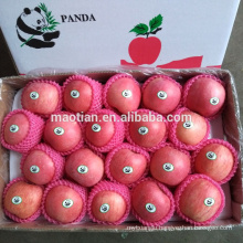 Hot sale fresh red fuji apple